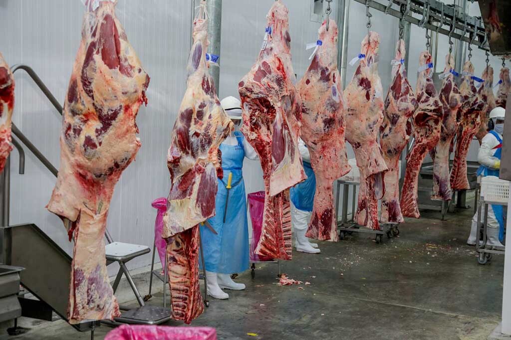 Exportação de carne bovina à Indonésia é destacada pelo governador Marcos Rocha como reflexo das ações realizadas - Gente de Opinião