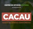 Boas Práticas na Produção de Cacau estão agora em Vídeo