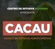 Boas Práticas na Produção de Cacau estão agora em Vídeo