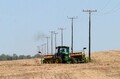 Trabalhadores rurais devem ficar atentos ao manusear máquinas agrícolas próximo à rede elétrica