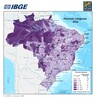 Censo 2022: 21 mil indígenas vivem em Rondônia