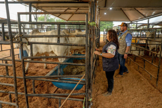 Seagri, é a responsável pela coordenação do estande de exposição de animais bovinos e equinos na Expovel - Gente de Opinião