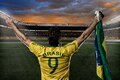 Um olhar profundo sobre as glórias atuais no futebol brasileiro