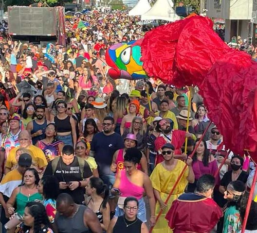 Bloco Pirarucu do Madeira desfila neste domingo - Gente de Opinião
