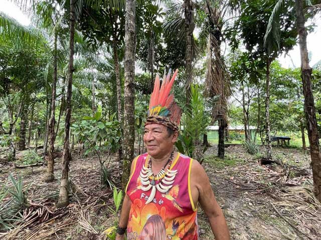 No sul do Amazonas, povo Apurinã produz alimentos e restaura floresta degradada por invasores  - Gente de Opinião