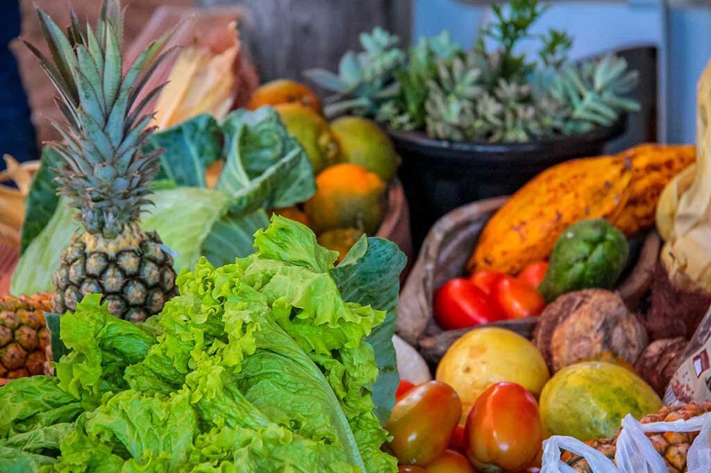 Governo lança Edital do PEAA, destinando R$ 3 milhões para incentivar a agricultura familiar  - Gente de Opinião