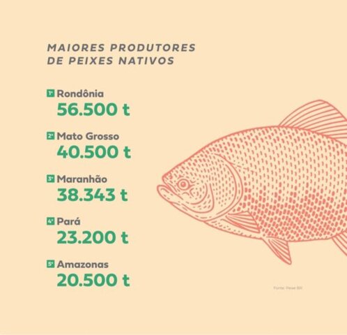 Anuário mostra os líderes no ranking de produção de peixes nativos no Brasil - Gente de Opinião