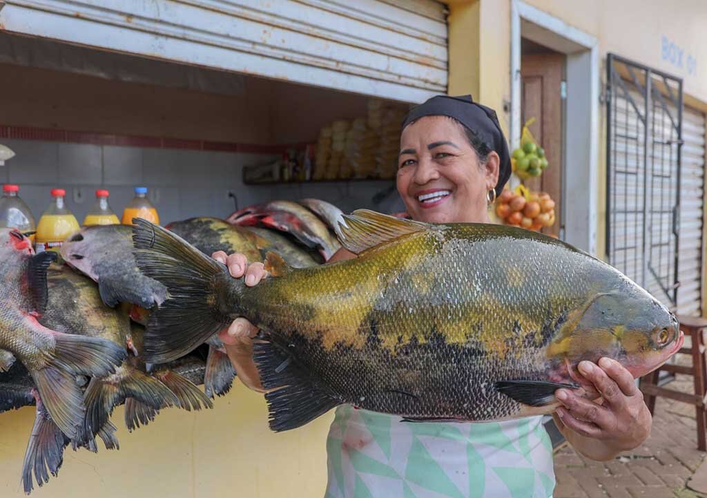 Moradores de Porto Velho têm diversas opções para adquirir peixe fresco - Gente de Opinião