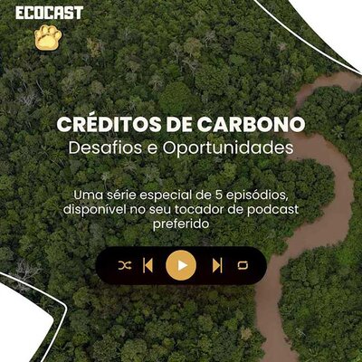 EcoCast: série especial discute os desafios e oportunidades do mercado de carbono no Brasil