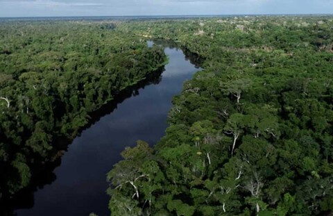 Relatório Anual aponta redução de mais de 70% no desmatamento em Rondônia