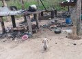 Entidades denunciam ação de pistoleiros em Machadinho D’oeste/RO