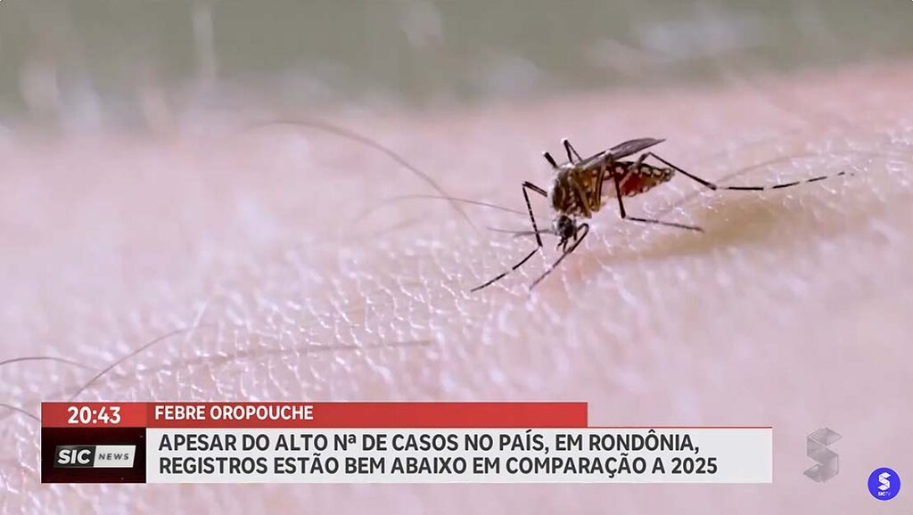 Mais de 9 mil casos de febre Oropouche são registrados no Brasil - Gente de Opinião