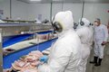 Rondônia: o novo protagonista do agronegócio e das exportações internacionais