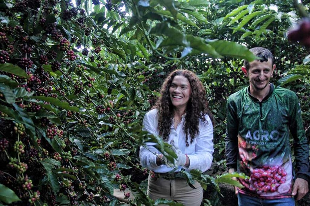 Início da colheita do café evidencia compromisso do governador Marcos Rocha com avanço da cafeicultura - Gente de Opinião