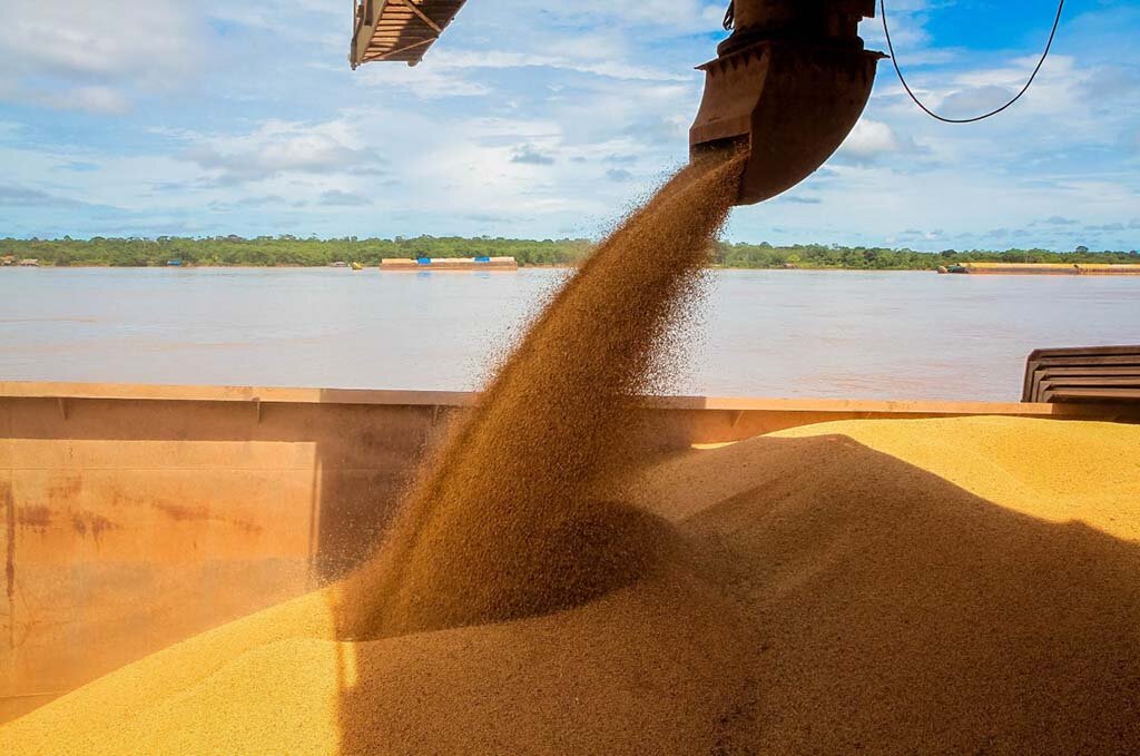 O relatório da Conab aponta que os Rondônia e Mato Grosso do Sul tiveram crescimento 29,4% na safra de grãos, o maior do país - Gente de Opinião