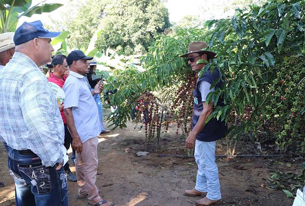 No stand da Emater-RO, o produtor vai conhecer os resultados práticos do uso das tecnologias de produção vegetal e animal, em conformidade com os manuais da sustentabilidade - Gente de Opinião