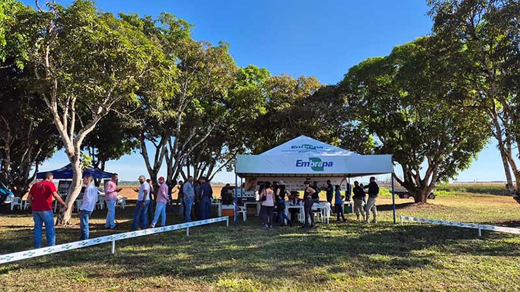 Dia de Campo Safrinha 2025 acontecerá dia 12 de junho em Vilhena - Gente de Opinião