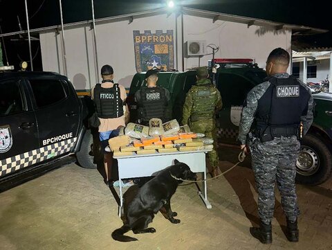 Forças de segurança pública apreendem grande quantidade de drogas em operação