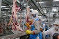 Rondônia exporta para 13 países e alcança US$ 276 milhões no trimestre sob gestão de Marcos Rocha