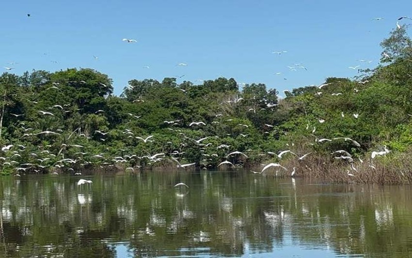 Prefeitura amplia ações de fomento ao turismo de base comunitária na Resex Lago do Cuniã