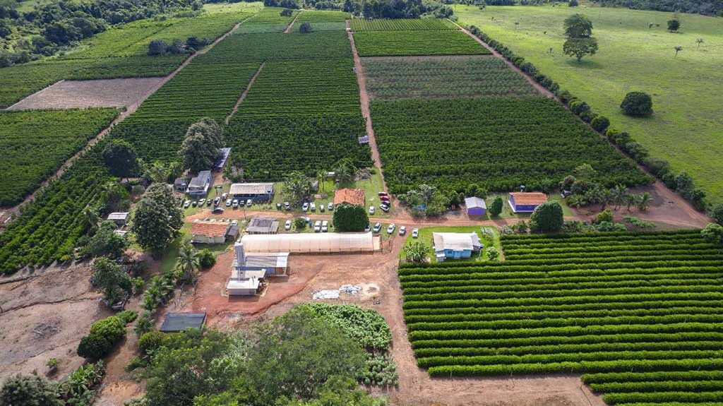 Exportações em alta: Rondônia vira potência global do café com aumento de produção - Gente de Opinião