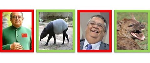 A fauna exótica prospera em Brasília 
