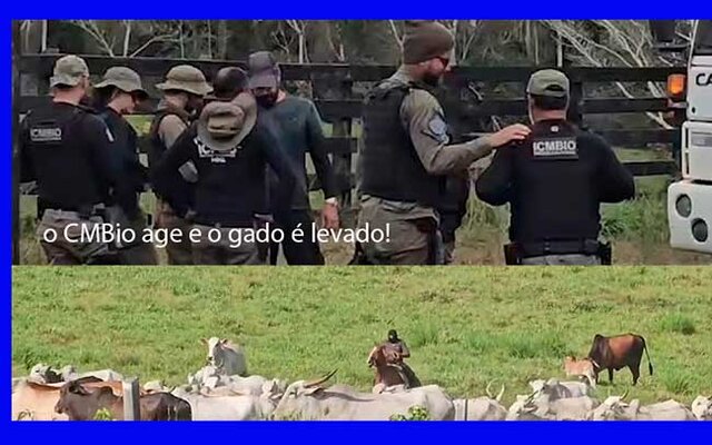 Produtores, mesmo desesperados, precisam ter resiliência e união, nesta guerra declarada contra eles - Gente de Opinião