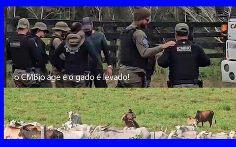 Produtores, mesmo desesperados, precisam ter resiliência e união, nesta guerra declarada contra eles