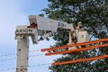 Energisa alerta sobre o risco do plantio de árvores perto da rede elétrica