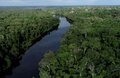 Governo de Rondônia conquista redução de 35% de áreas sob alerta de desmatamento
