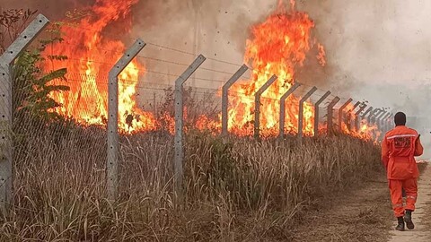 Assembleia aprova investimento de R$ 10 milhões para combate a queimadas em Rondônia 