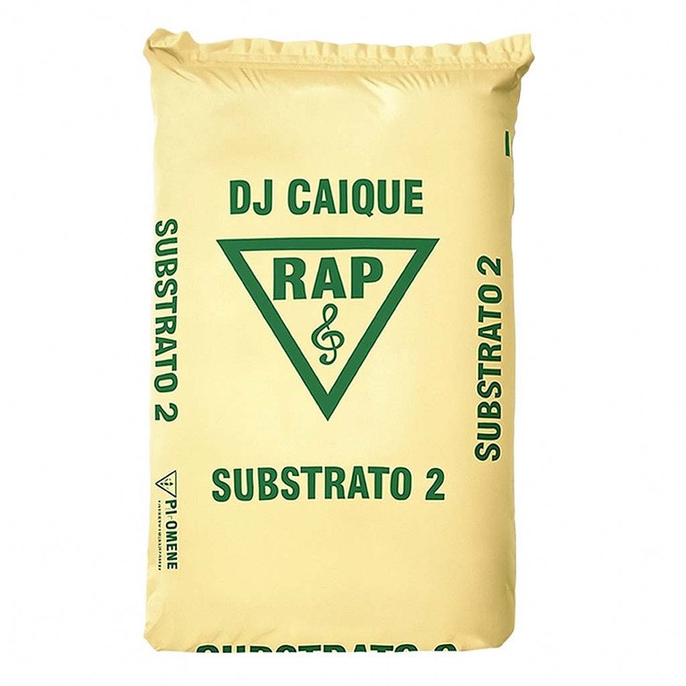 Queimadas em Rondônia são abordadas em música de álbum de renomado produtor do rap nacional - Gente de Opinião