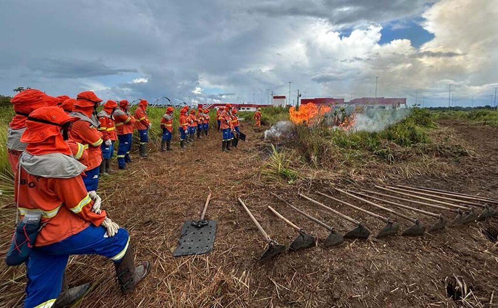 Capacitação de brigadistas civis fez parte das ações antecipadas para enfrentamento a estiagem 2025 em Rondônia - Gente de Opinião