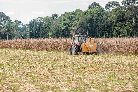 Assembleia aprova crédito suplementar de R$ 23,8 milhões para fortalecimento da agricultura em Rondônia 