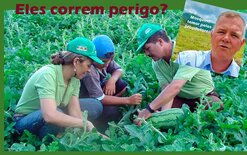 Mais uma ameaça dos pequenos produtores? Governo vai gastar 600 milhões para fiscalizar 31 mil propriedades 