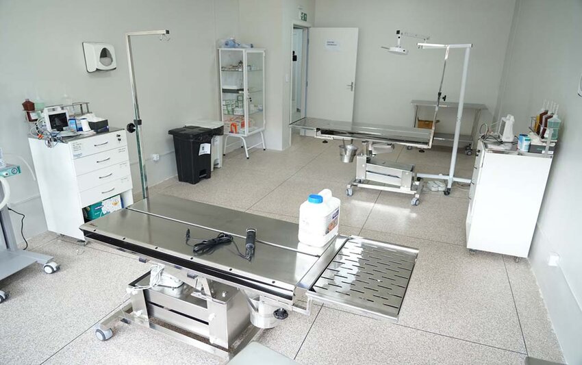 Inaugurada a primeira clínica de bem-estar animal pública de Rondônia