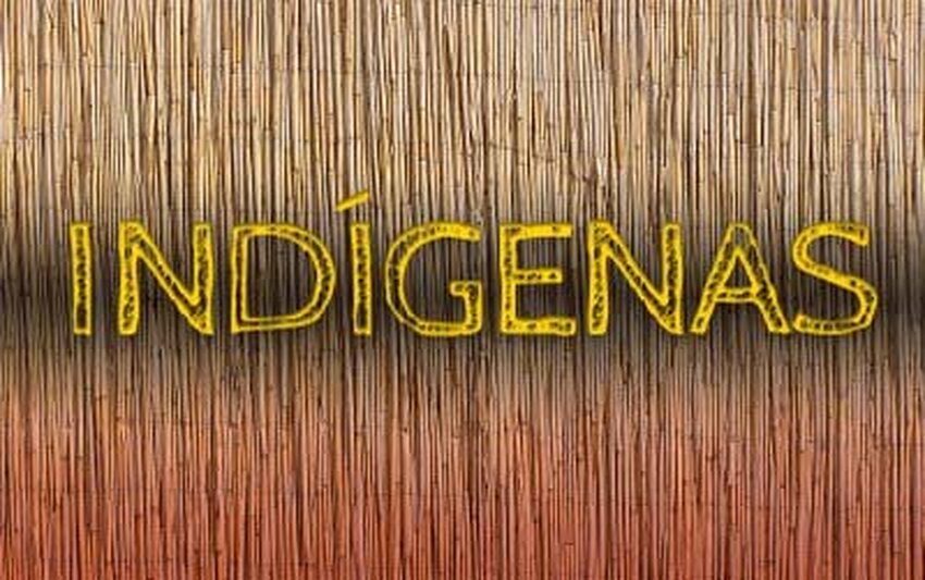 MPF apura notícias falsas sobre retirada de invasores da Terra Indígena Uru-Eu-Wau-Wau (RO)