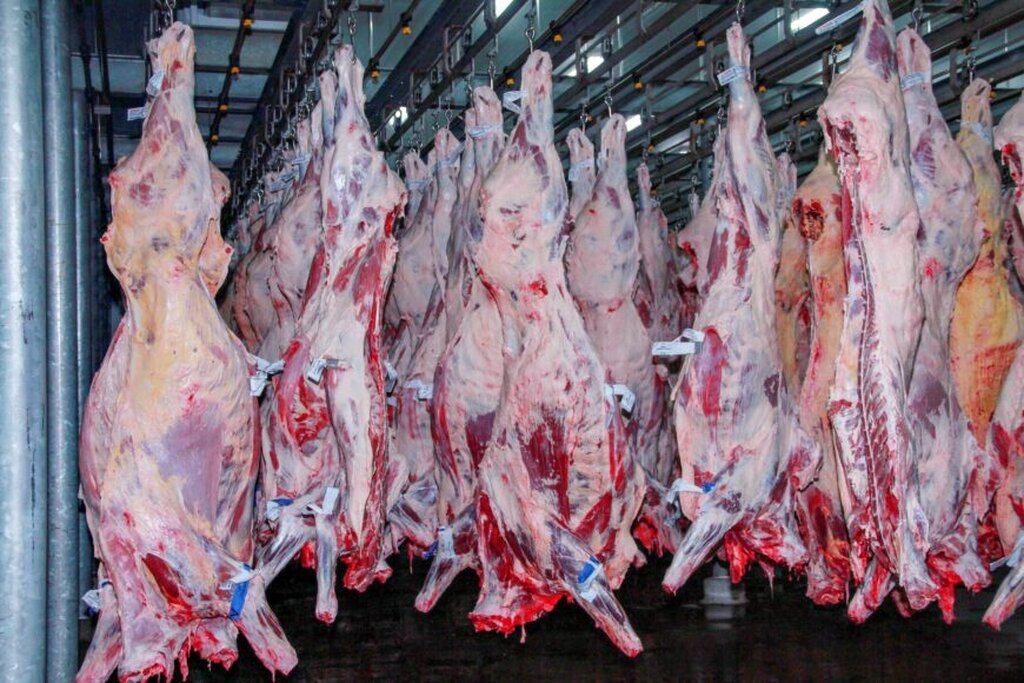 Governo de RO fortalece caminho para exportar carne a países de alto padrão sanitário, como Chile e Japão - Gente de Opinião