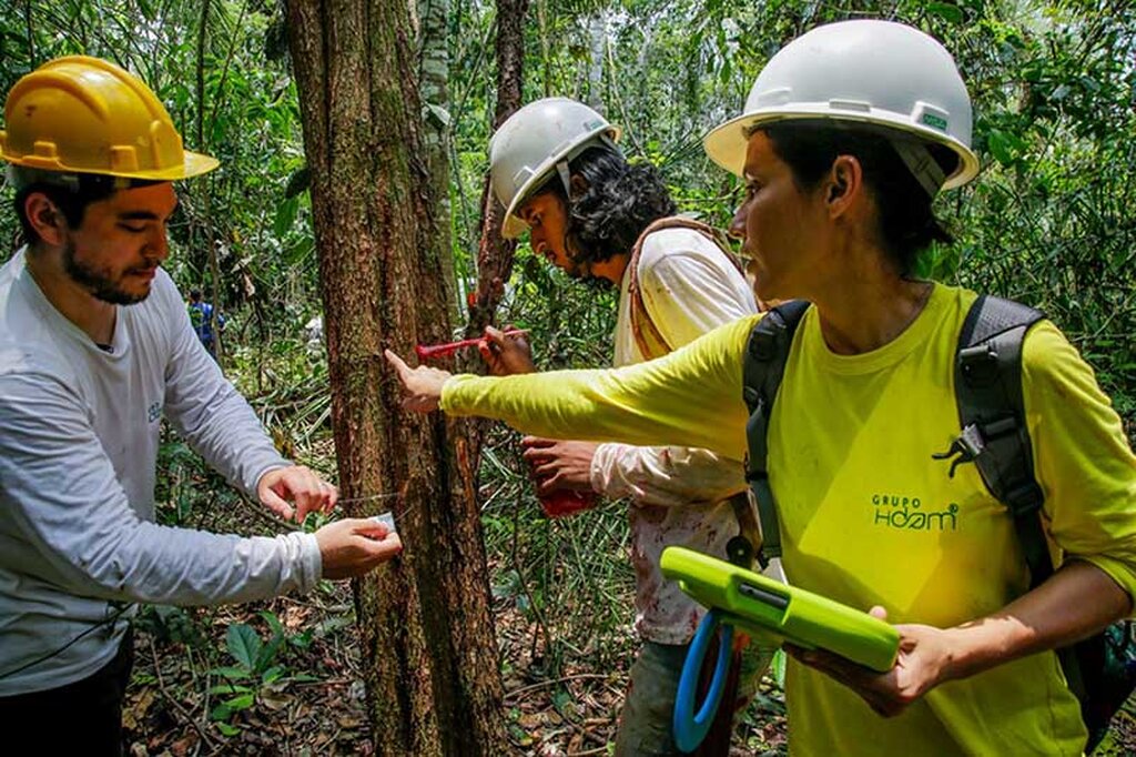 Técnicos concluem o inventário florestal na Resexdo Cautário, em 2020 (Foto Frank Néry) - Gente de Opinião