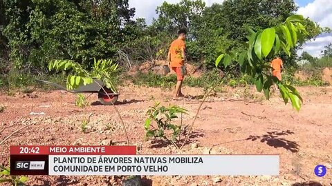 Parceiros do meio ambiente plantam árvores nativas para recuperar o verde em Porto Velho