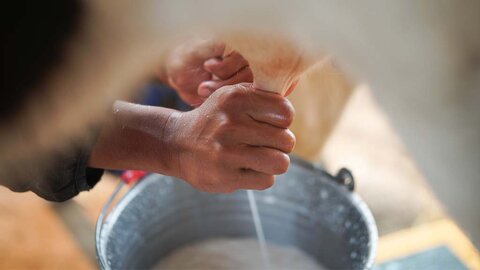 APRON e FAPERON realizam reunião preparatória para construção do Plano Estratégico do Leite em Rondônia