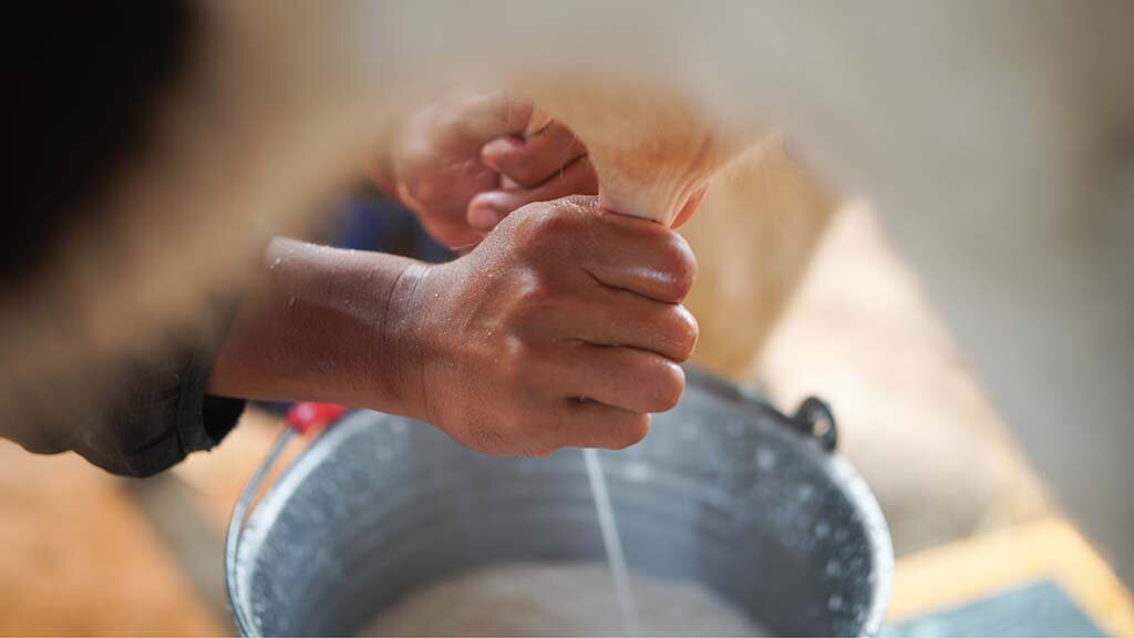 APRON e FAPERON realizam reunião preparatória para construção do Plano Estratégico do Leite em Rondônia - Gente de Opinião