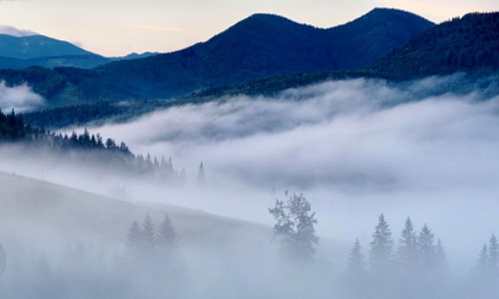 A Ascensão da Consciência: Por Que a Humanidade Destrói Antes de Pensar - Gente de Opinião
