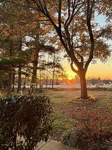 A Ascensão da Consciência: Por Que a Humanidade Destrói Antes de Pensar - Gente de Opinião