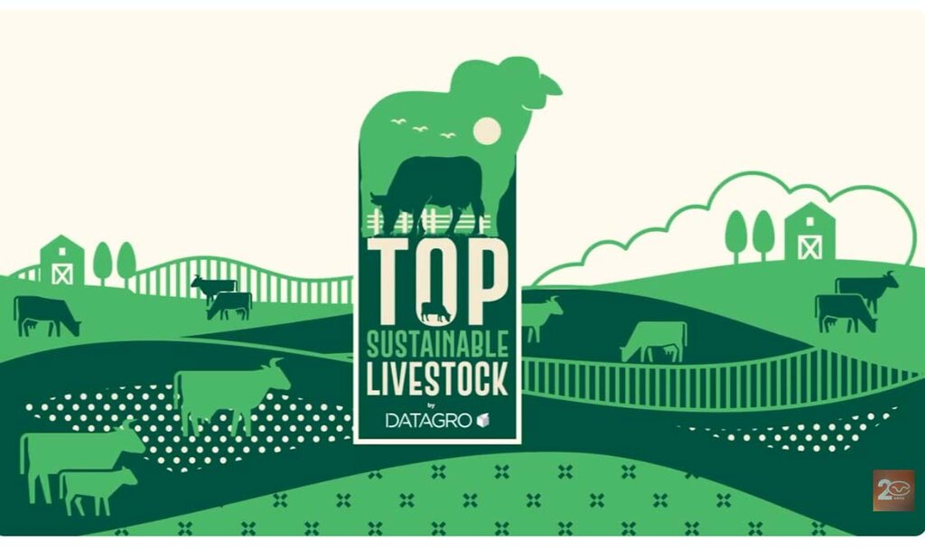 1º Episódio: Clima e Mercado de Carbono - Gente de Opinião