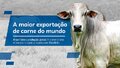 Brasil lidera produção global de carne bovina e impulsiona oportunidades para Rondônia