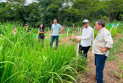 Programa estadual fortalece pecuária leiteira e aumenta produtividade na agricultura familiar em Rondônia