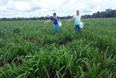 Gestão e tecnologia transformam propriedade de Itapuã do Oeste em referência na pecuária leiteira familiar