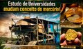 A cegueira e o terrorismo ambiental impedem ver a realidade: hoje, o mercúrio não é mais jogado nos rios!