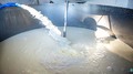 Dia Internacional do Leite destaca importância da cadeia produtiva para a economia de Rondônia